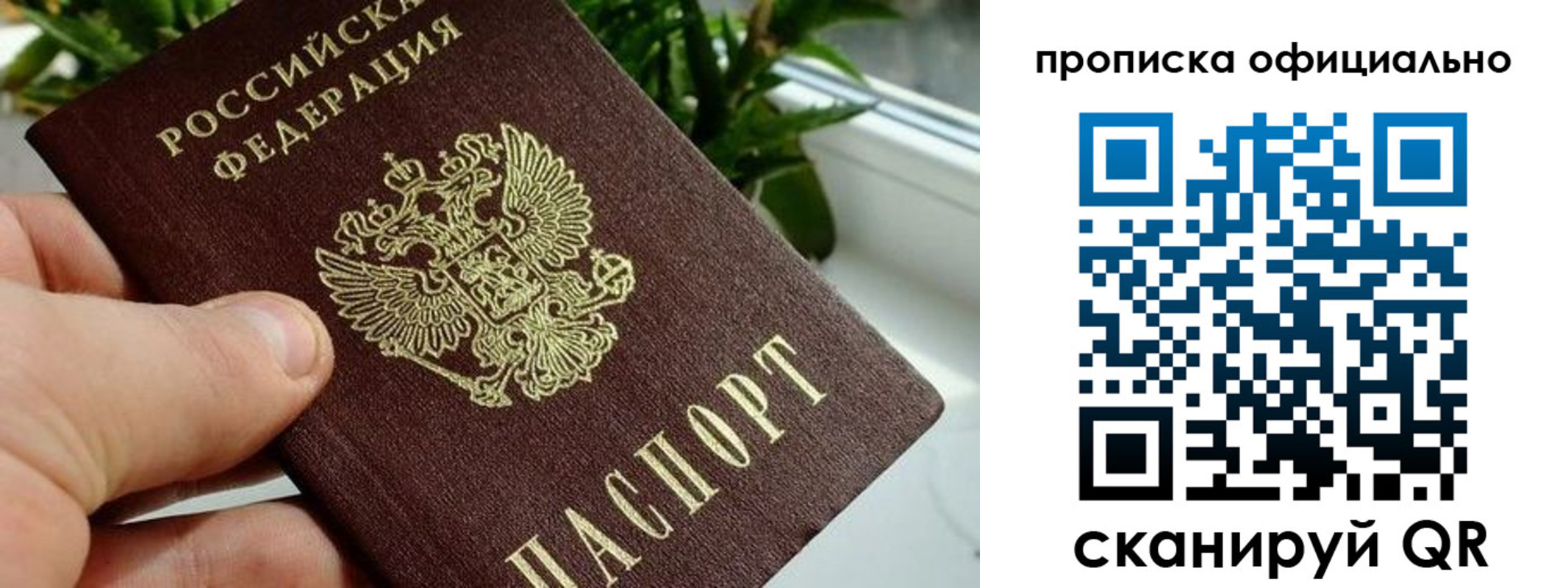 прописка поиск в Котельниково